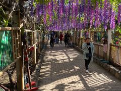 -呀路古热带植物园