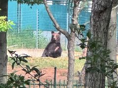 -秦皇岛野生动物园