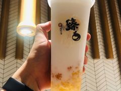 臻白桃胶爽-炖物24章·顺时轻养茶(杭州保利时光里店)