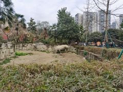 -成都动物园
