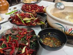 -蘑统田下·野生菌火锅