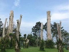 iphone_upload_pic-云幽谷旅游区