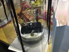 -食间旅人DIY烘焙工作室