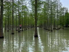 -泗洪洪泽湖湿地景区