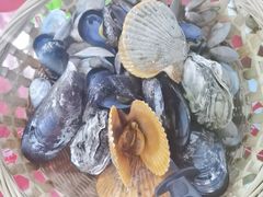 -坛南湾阿强农家乐.海鲜大排档老字号(福州地标美食店)
