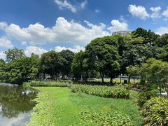 -荔湾湖公园