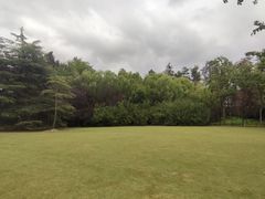 -上海滨江森林公园
