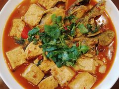 昂刺鱼烧豆腐-洪泽老鱼馆(淮海一店)
