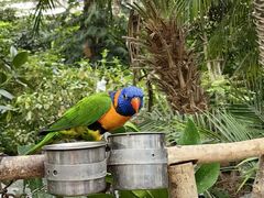 -南宫五洲植物乐园