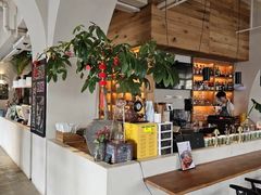 -长春藤咖啡(北园店)