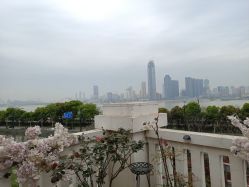 -禾丽康美医疗美容医院