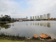 -美的鹭湖森林度假区