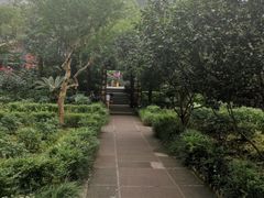 -峨眉山报国寺