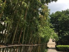 -活水公园