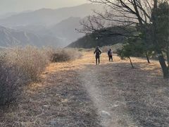 -阳台山自然风景区