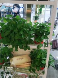 -SY水源护肤造型