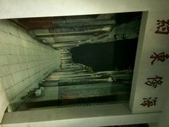 android_upload_pic-黄埔古港