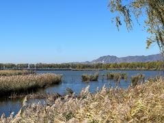 -野鸭湖国家湿地公园