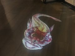 -大丰收脆鱼(万达江北店)