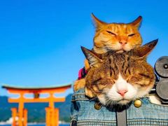 -颐而康按摩(八一桥总店)