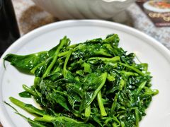 -文三里屯面馆(三里屯店)