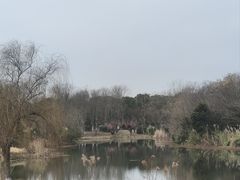-南湖湿地公园