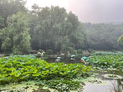 -棒棰岛宾馆景区