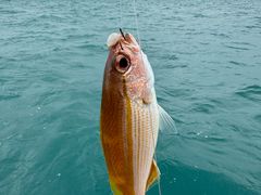 -亚龙湾海底世界