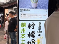 -猫的魔法密林(衣裳街店)