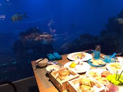 -海棠湾洲际-涛·海底餐厅·美人鱼·自助餐·海底隧道