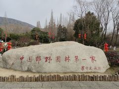 -习家池