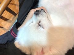 -伽利略剧本探案馆(国贸店)