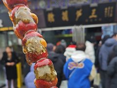 -糖葫芦王保定名吃(古莲花池店)