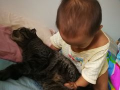 -纳吉亚猫专科动物诊疗中心(蒋宅口分院)
