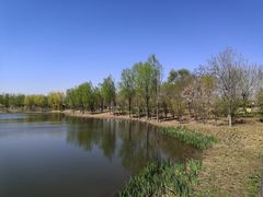 -东郊湿地公园