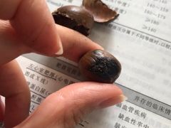 -陈记栗子(长宁路店)