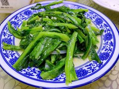 蒜茸油麦菜-范记靖远羊羔肉(博物馆店)