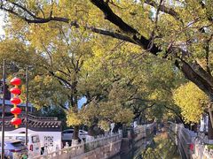 -安亭老街