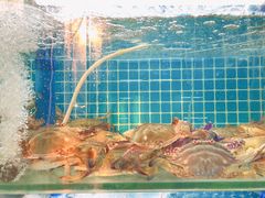 -老东镇啤酒屋海鲜加工·蒸汽海鲜·海鲜烧烤(台东店)