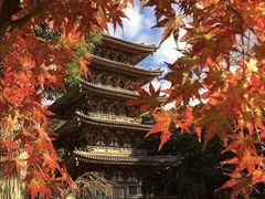 -醍醐寺