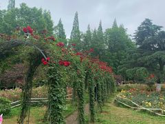 -花溪公园