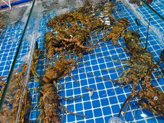 -三亚火车头万人海鲜广场