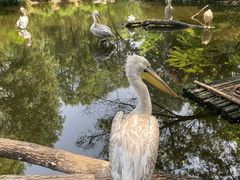 -济南野生动物世界