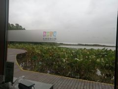 -东滩湿地公园观海楼餐厅