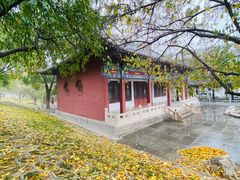 -桃花堤公园