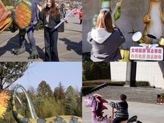 -中国西峡恐龙遗迹园