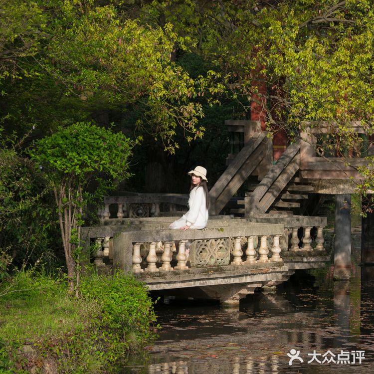武汉植物园里的绿野仙踪