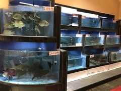 水产区-岭南海晏楼(东晓南店)