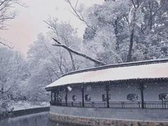 -红梅公园