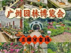 -广州兰圃